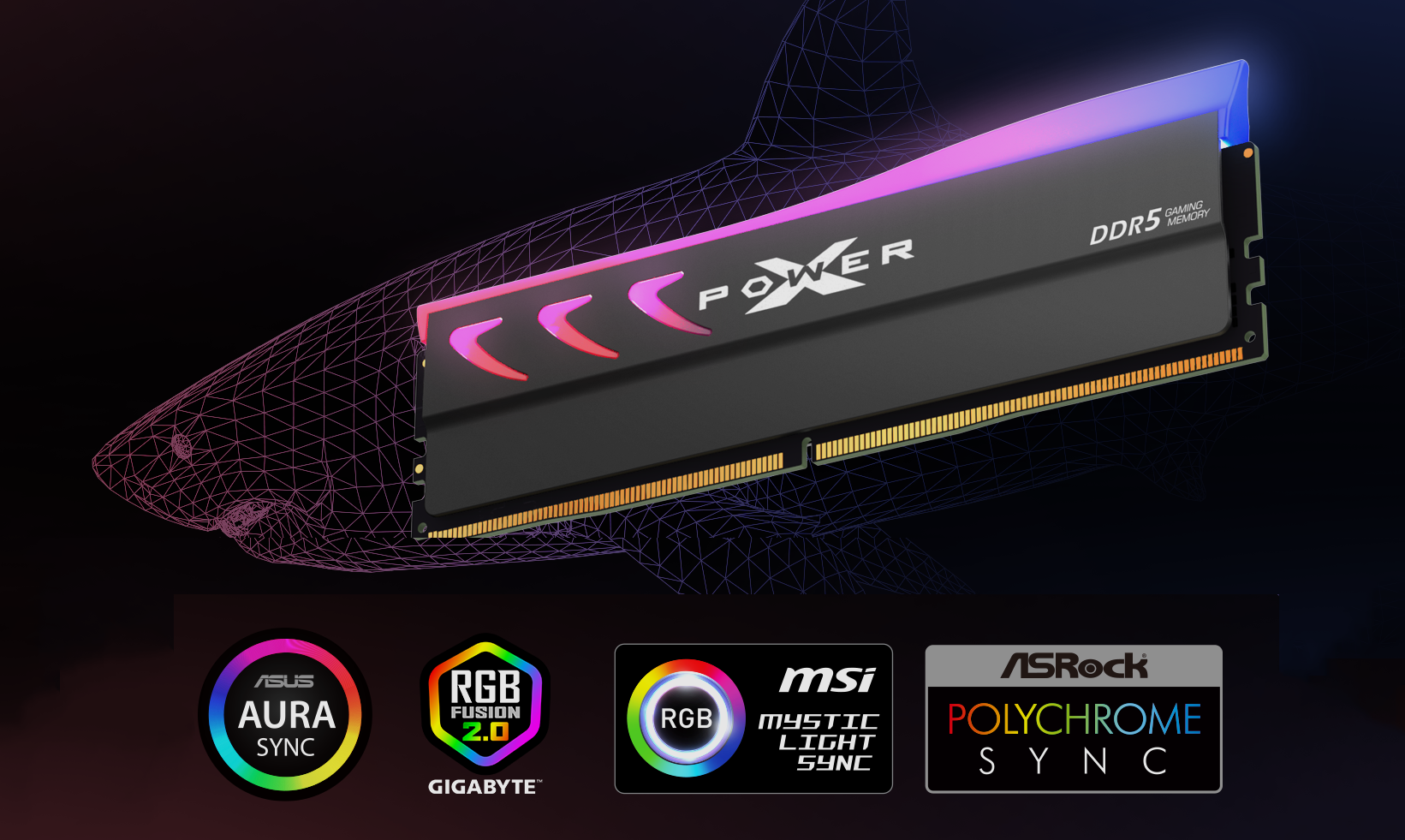 Silicon Power Storm RGB DDR5 6400 MT/s (PC5 51200) 32GB (2 x 16GB